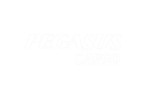 pegasus