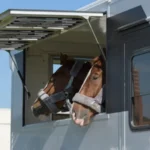 Horse Transport